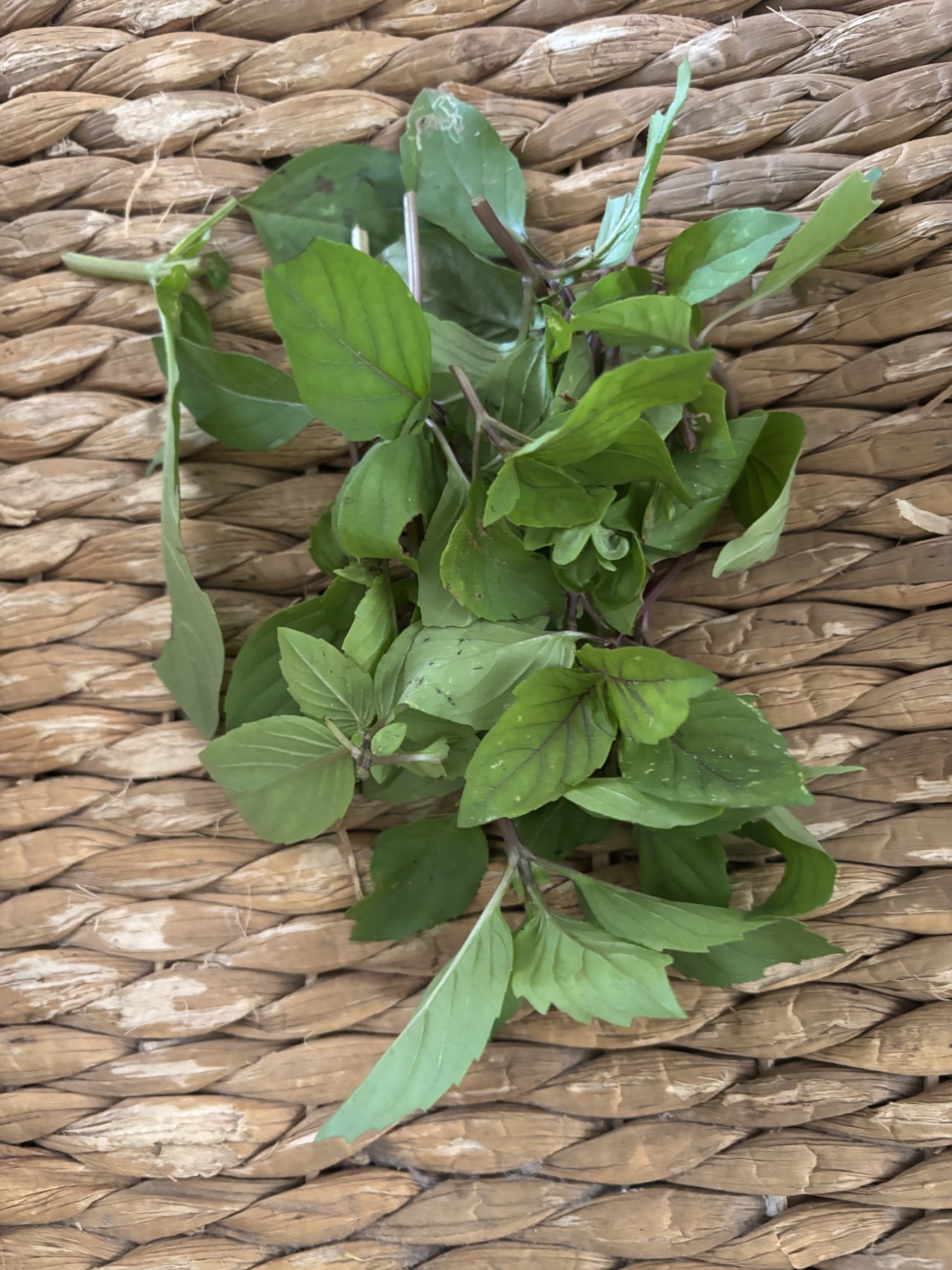 Freshly picked basil leaves on a woven surface