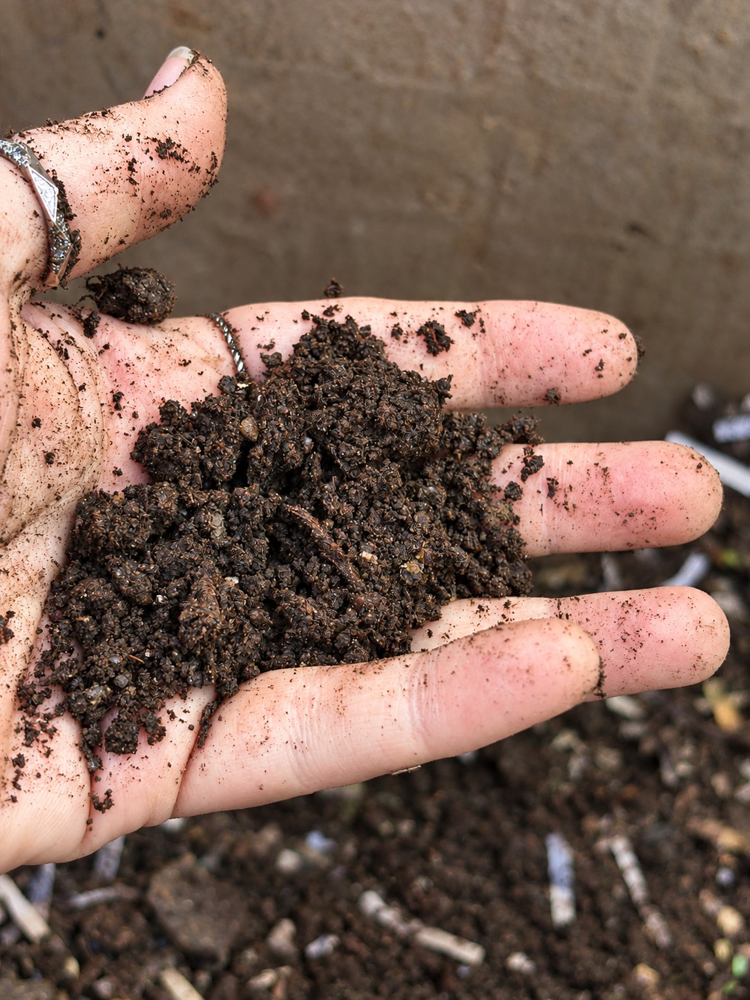 A handful of the Barnettis’ garden compost