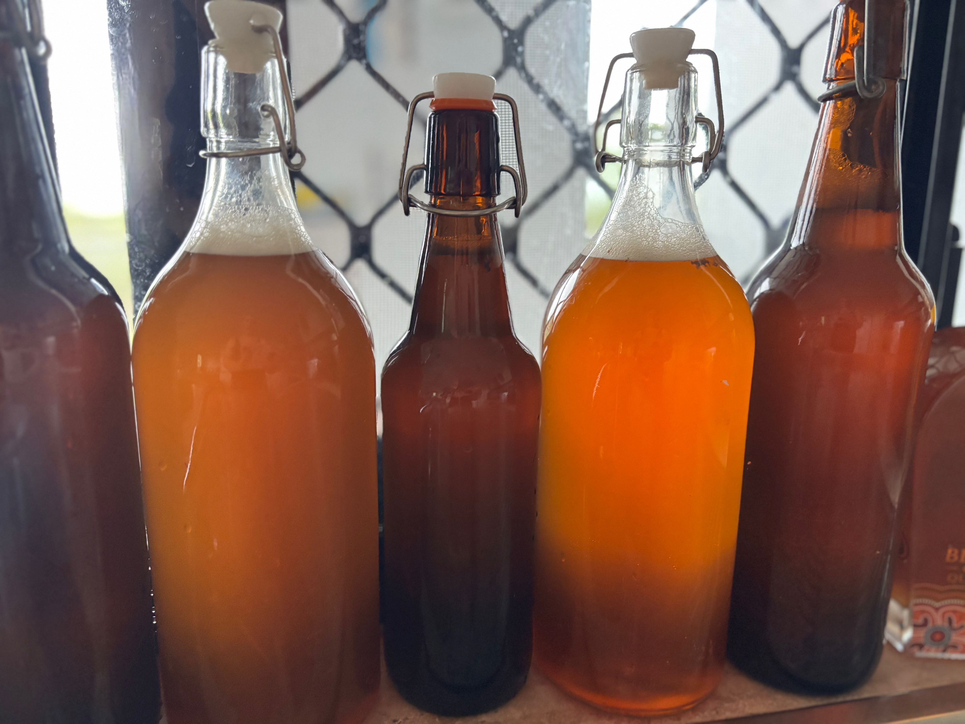 Homemade amber kombucha in swing-top bottles by the Barnettis’ kitchen window
