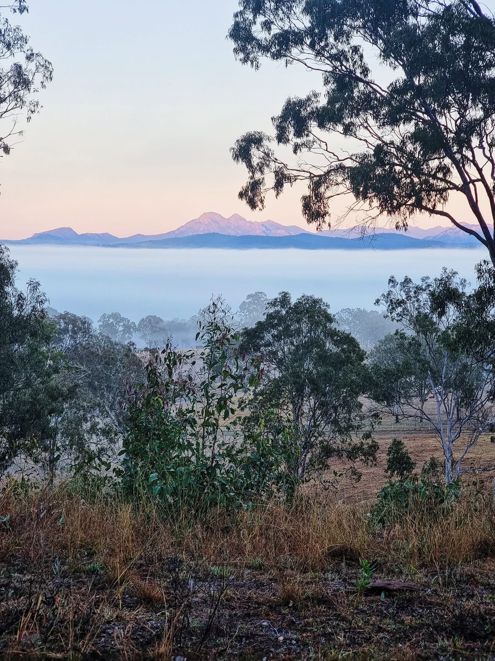 Misty Australian mountains